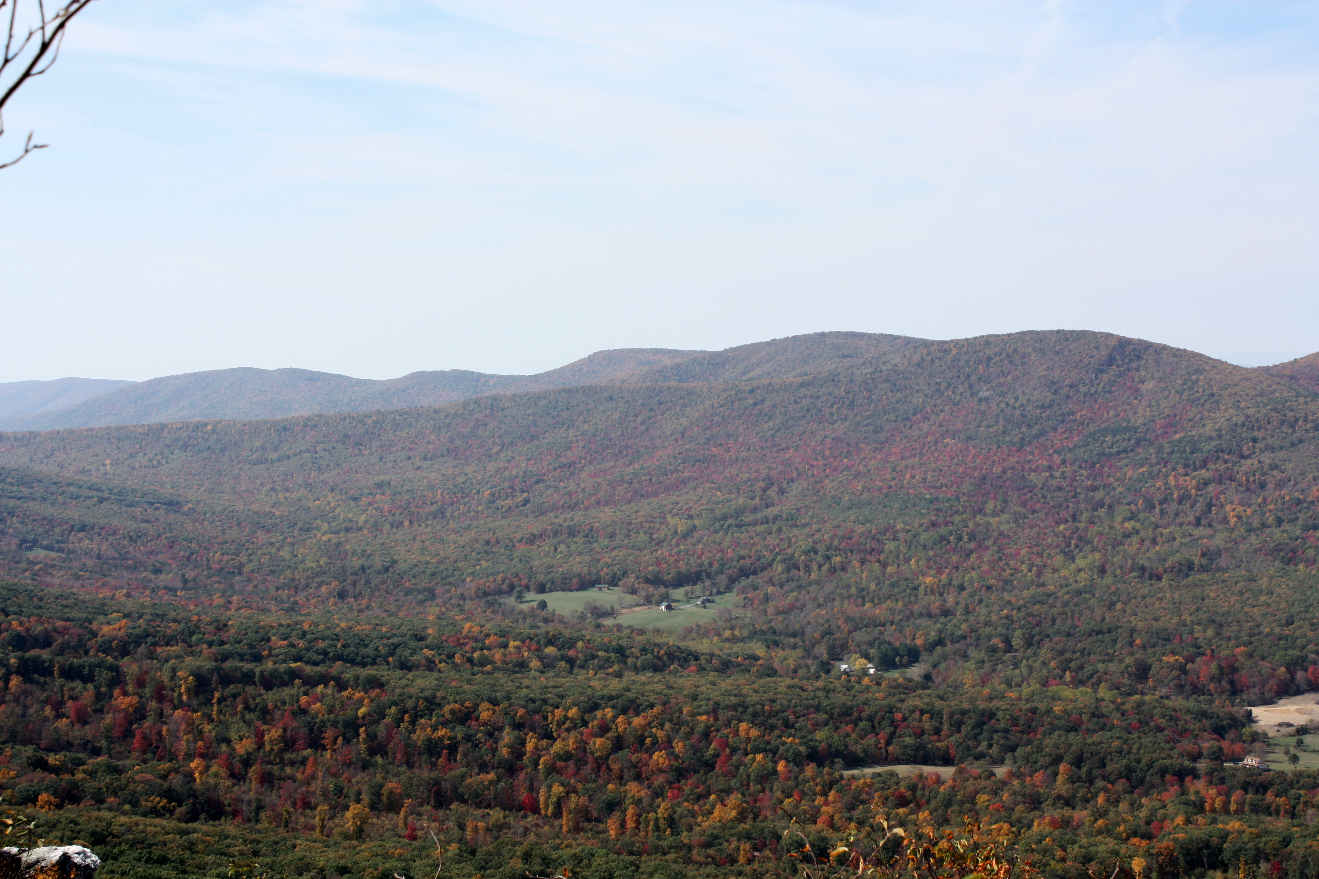 fall colors on a mountainside