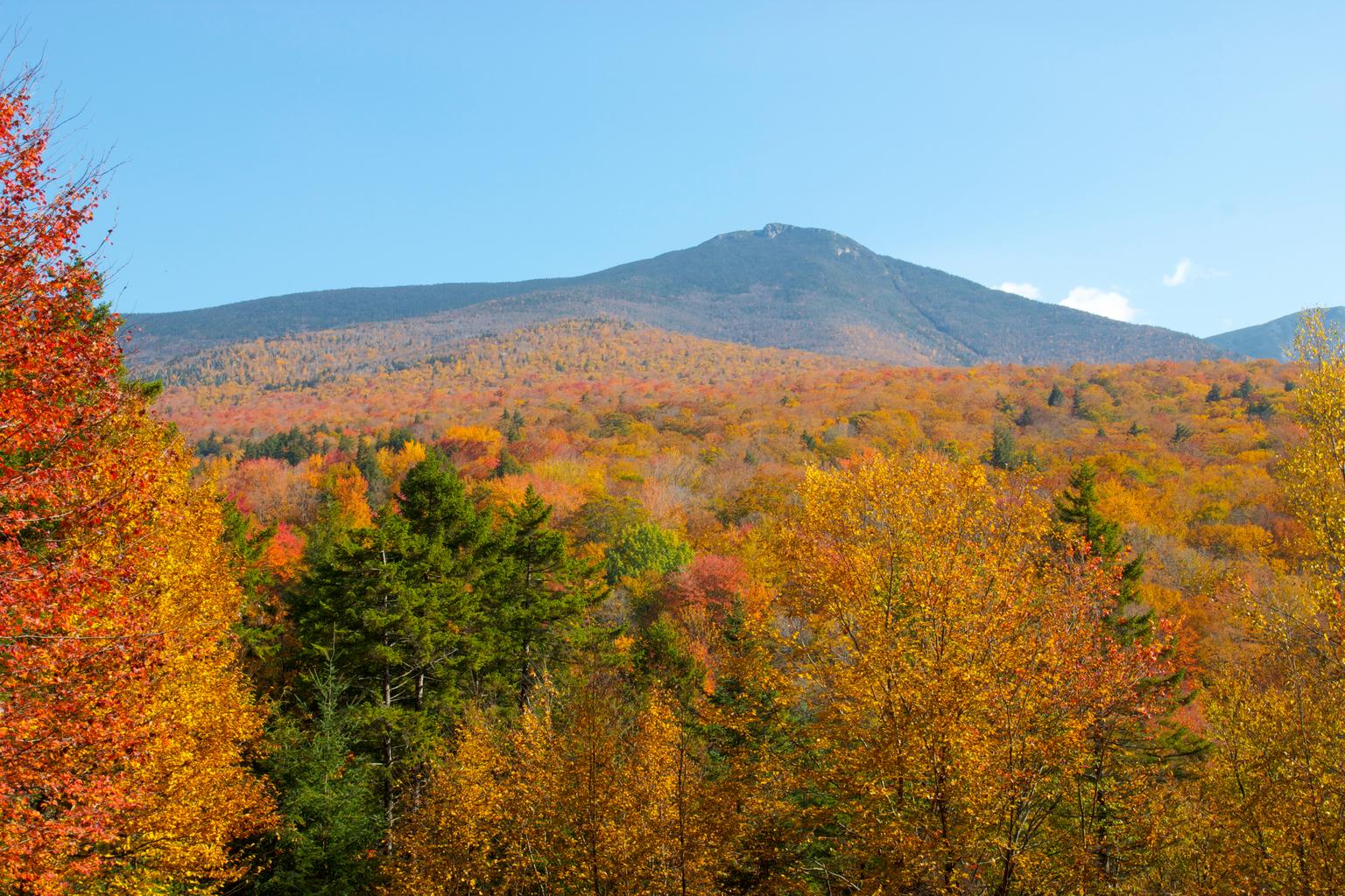 fall colors on a mountainside